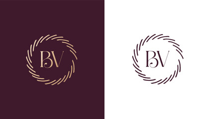 BV logo design vector image