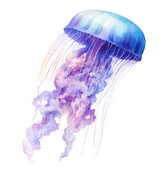 Fototapeta premium jellyfish drawing, isolated