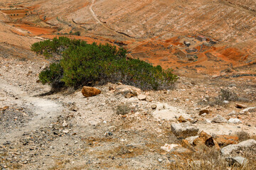 Valle de Santa Ines eine hügelige stark erodierte trockene Vulkan Landschaft