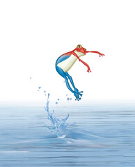 illustration d'un grenouille de france comique qui saute d'une lac en gesticulant