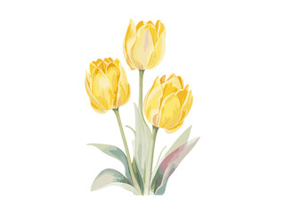 Beautiful Tulips bouquet, Vector illustration colorful watercolor Tulips bouquet.  Generative AI