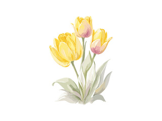 Obraz na płótnie Canvas Beautiful Tulips bouquet, Vector illustration colorful watercolor Tulips bouquet. Generative AI