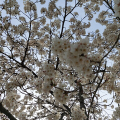 The branches were decorated with a mosaic of fall colors, and the sky above was transformed into a watercolor canvas with pinks, oranges, and lavenders mixing in a breathtakingly vivid blend of nature