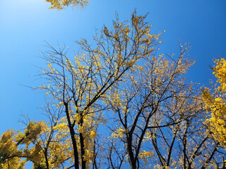 The branches were decorated with a mosaic of fall colors, and the sky above was transformed into a watercolor canvas with pinks, oranges, and lavenders mixing in a breathtakingly vivid blend of nature