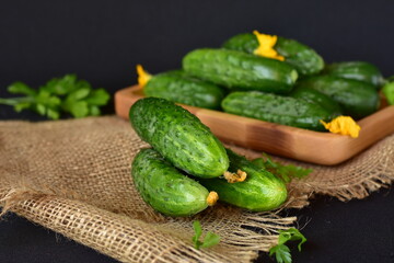 young green cucumbers, close-up, dark background, no people