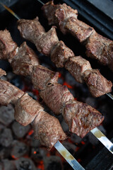 Pork kebabs on metal skewers 