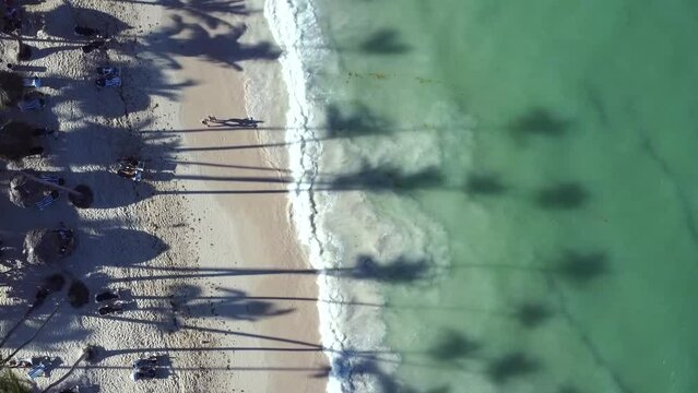 Cień wysokich palm na tle fal z oceanu. Plaża tropikalna na Karaibach. Artystyczny cień z palm na tle wody.
