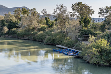 Naklejka premium canoe mooring at Ombrone river green right bank, north of Alberese, Italy