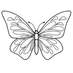 sketch butterfly insect animal on white