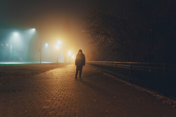 Walking along the alley in night foggy park