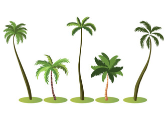 palm trees set vector illustration