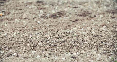 Fresh cultivated land. Cultivated soil.