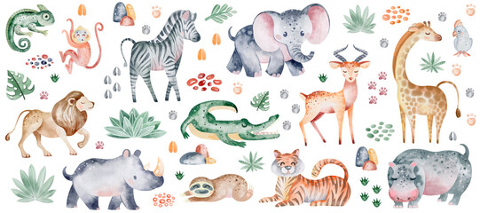 Jangle animals on isolated background. Watercolor clipart of savanna beasts and plant elements. The mammals zebra and elephant are hand drawn. Children safari design for stickers and wall decor. - obrazy, fototapety, plakaty