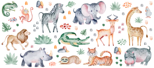 Foto op Aluminium Jangle animals on isolated background. Watercolor clipart of savanna beasts and plant elements. The mammals zebra and elephant are hand drawn. Children safari design for stickers and wall decor. © Elena