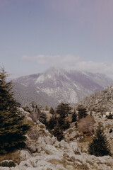 Obraz premium Mountain view from the peak