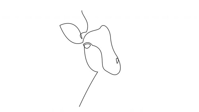 Self drawing simple animation of one line giraffe design. Animated hand drawn minimalism style animal drawing.