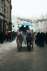 horse carrige in the street