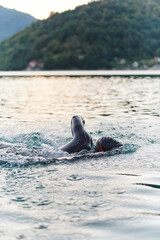 A professional triathlete trains with unwavering dedication for an upcoming competition at a lake,...