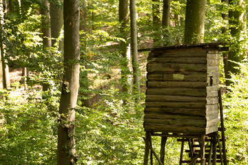 Jagdkanzel im Wald