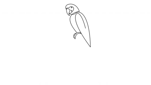 Self drawing simple animation of one line parrot design silhouette. Animated hand drawn minimalism style bird head.