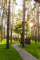 A beautiful well-maintained park with tall trees and their shadows on the grass in the setting sun