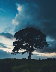 Obraz premium Tree silhouetted and dramatic dark blue clouds
