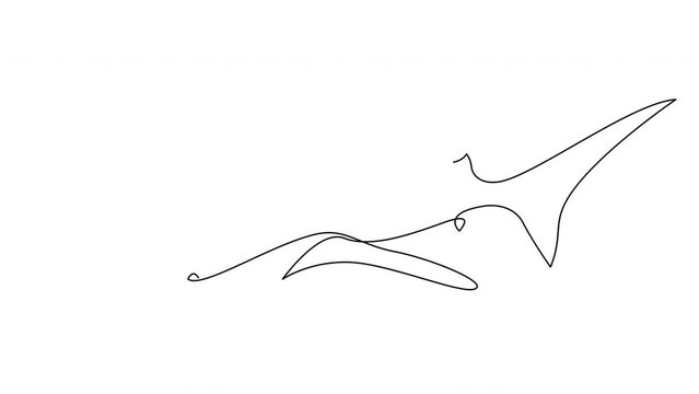 Self drawing simple animation of one line whale shark design silhouette. Hand drawn minimalism style.