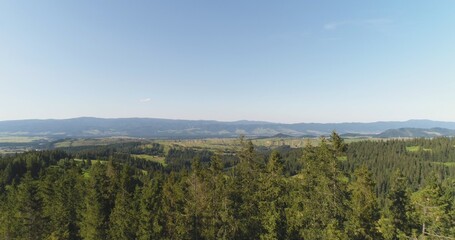 Fototapeta premium Flying over the beautiful forest trees. Landscape panorama.