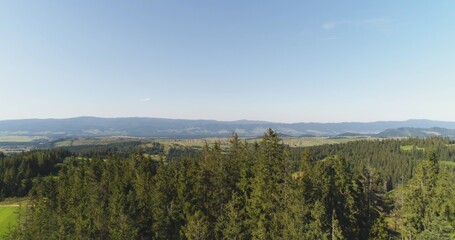 Flying over the beautiful forest trees. Landscape panorama.
