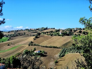 Beautiful scenery near small village Corinaldo in region Marche in Italy