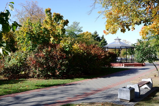 Park, autumn, gazebo, bench, walking path.