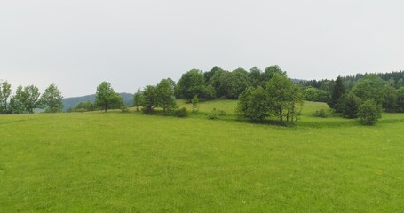 Flying over the beautiful forest trees. Landscape panorama.