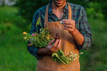 A man collects medicinal herbs in a field. Selective focus.
