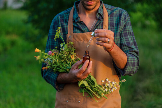 A man collects medicinal herbs in a field. Selective focus.