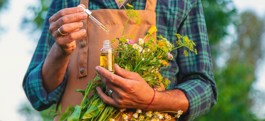 A man collects medicinal herbs in a field. Selective focus.