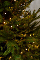 christmas tree with lights