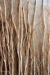 Fototapeta premium faux xeriscaping sticks,