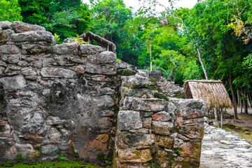 Fototapeta na wymiar Coba Maya Ruins ancient buildings pyramids in tropical jungle Mexico.