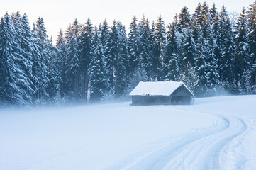 Winter landscape, snow field and barn house