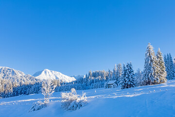 Allgäu - Winter - Schnee - Skifahren