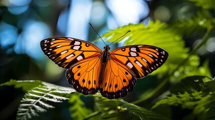 Naklejka premium A horizontal image of a butterfly with orange markings on a twig