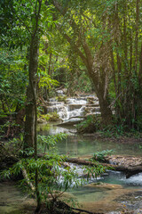 Erawan National Park in Thailand. Erawan Waterfall is a popular tourist destination and famous for its emerald blue water. Deep forest in tropical climate with fantasy atmosphere.