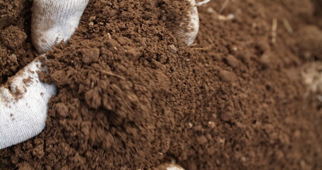farmer examining soil in hands agriculture