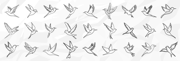 Anmutige Schwalben: Lineart Vektorgrafik-Bundle von monochromen Schwalben