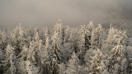 Winter in Gorce Mountains, Lubań, Poland, Europe