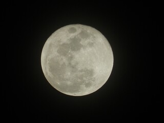 A Lua.
29/09/2023
Foto tirada com uma NIKON COOLPIX P500
Foto original, sem edição.