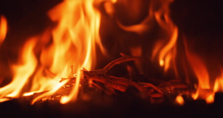Fototapeta premium fire flame burning a bonfire or fireplace at home
