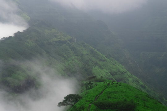 Mystical Green Mountains Covered in Mist or Clouds &ndash; Serene Landscape View