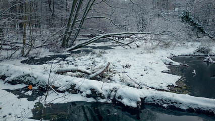  creek , Winterwonderland aerial forest in snow , Sachsenwald, germany