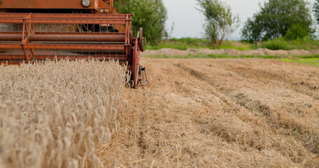 combine harvester harvesting agricultural wheat field